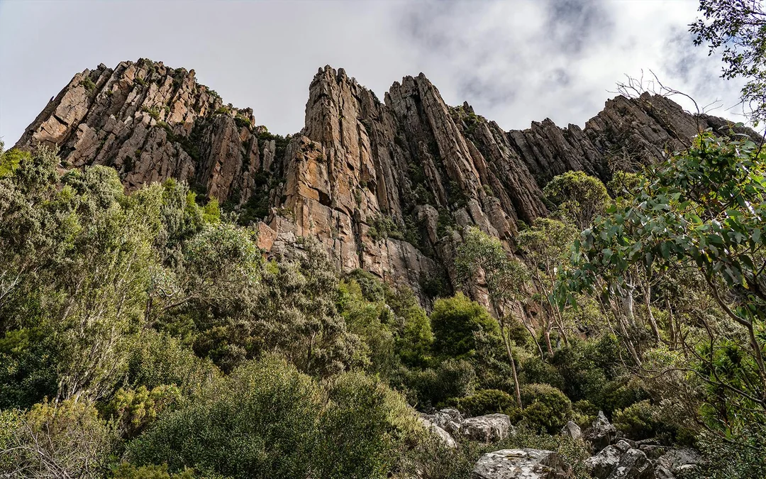 Guided Tour of Mt Wellington Image 3