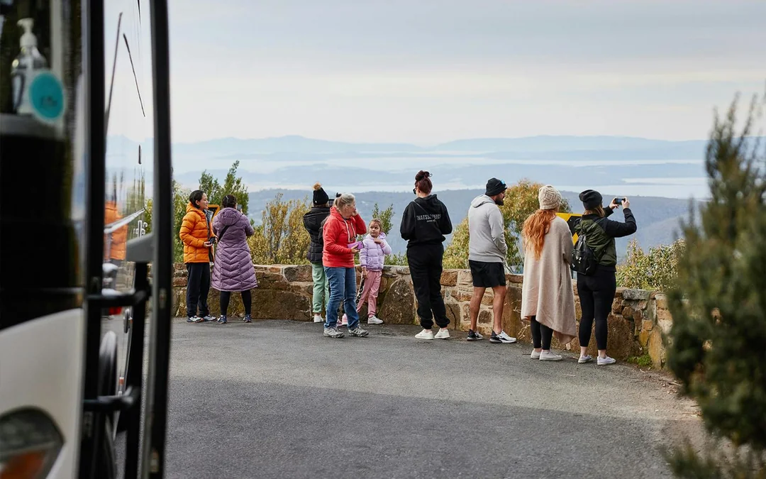 Guided Tour of Mt Wellington Image 5