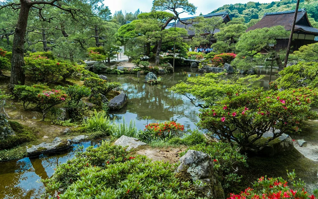Guided Tour of Nijo Castle And Kinkaku-Ji Temple Image 4