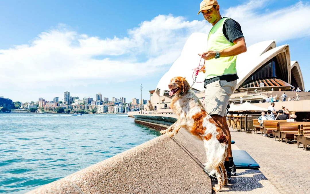 Guided Tour of Sydney Opera House in Multiple Languages with Meal & Drink Image 5
