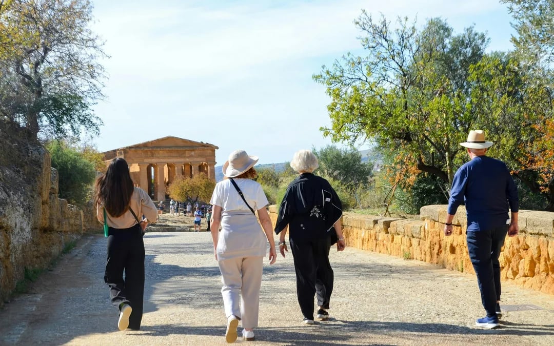 Guided tour of the Valley of the Temples with skip the line Image 5