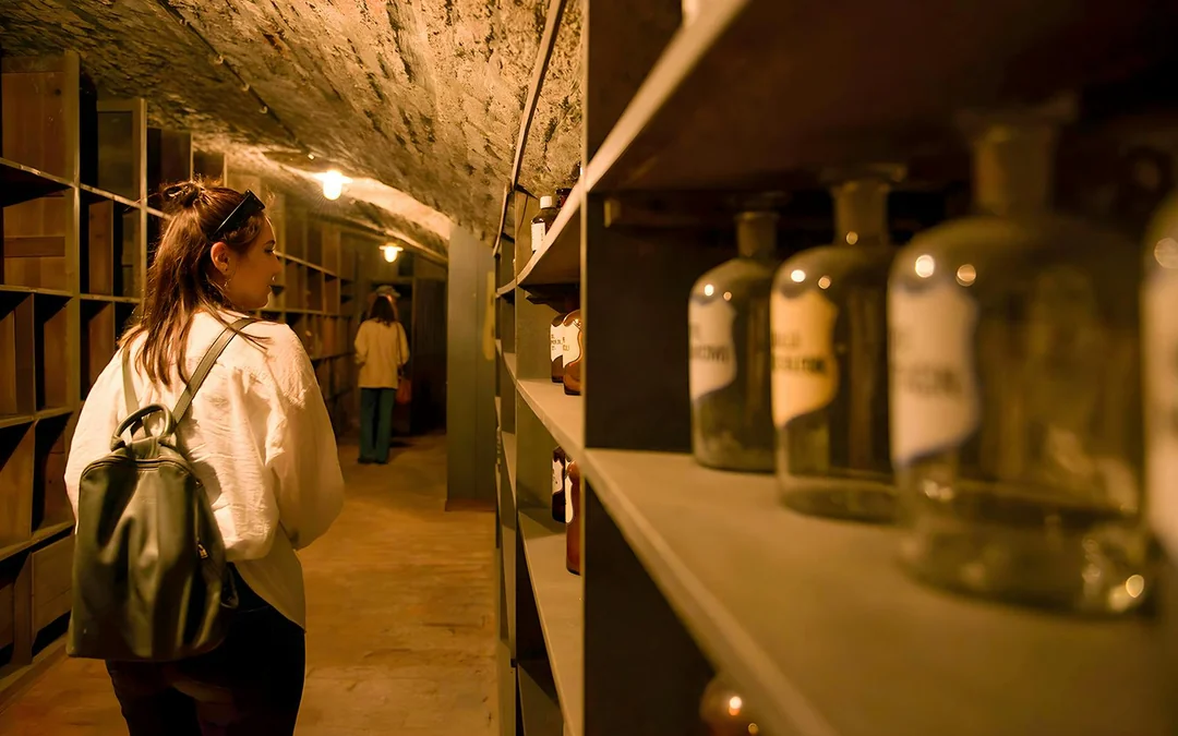 Guided Tour of Vienna’s Historical Pharmacy Cellar Image 1