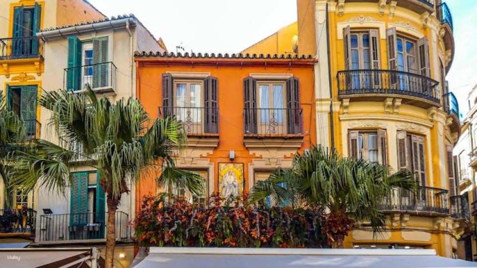 Guided tour to Malaga's photogenic places with a local
