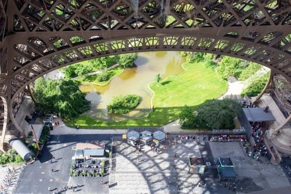 Guided visit of the Eiffel Tower by foot with summit option
