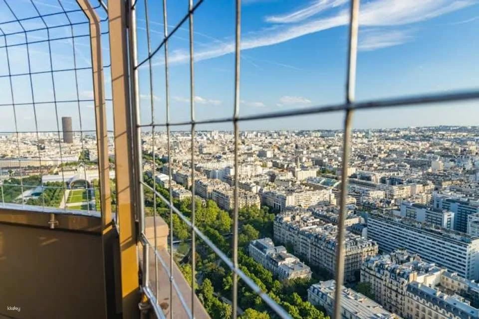 Guided visit of the Eiffel Tower by foot with summit option