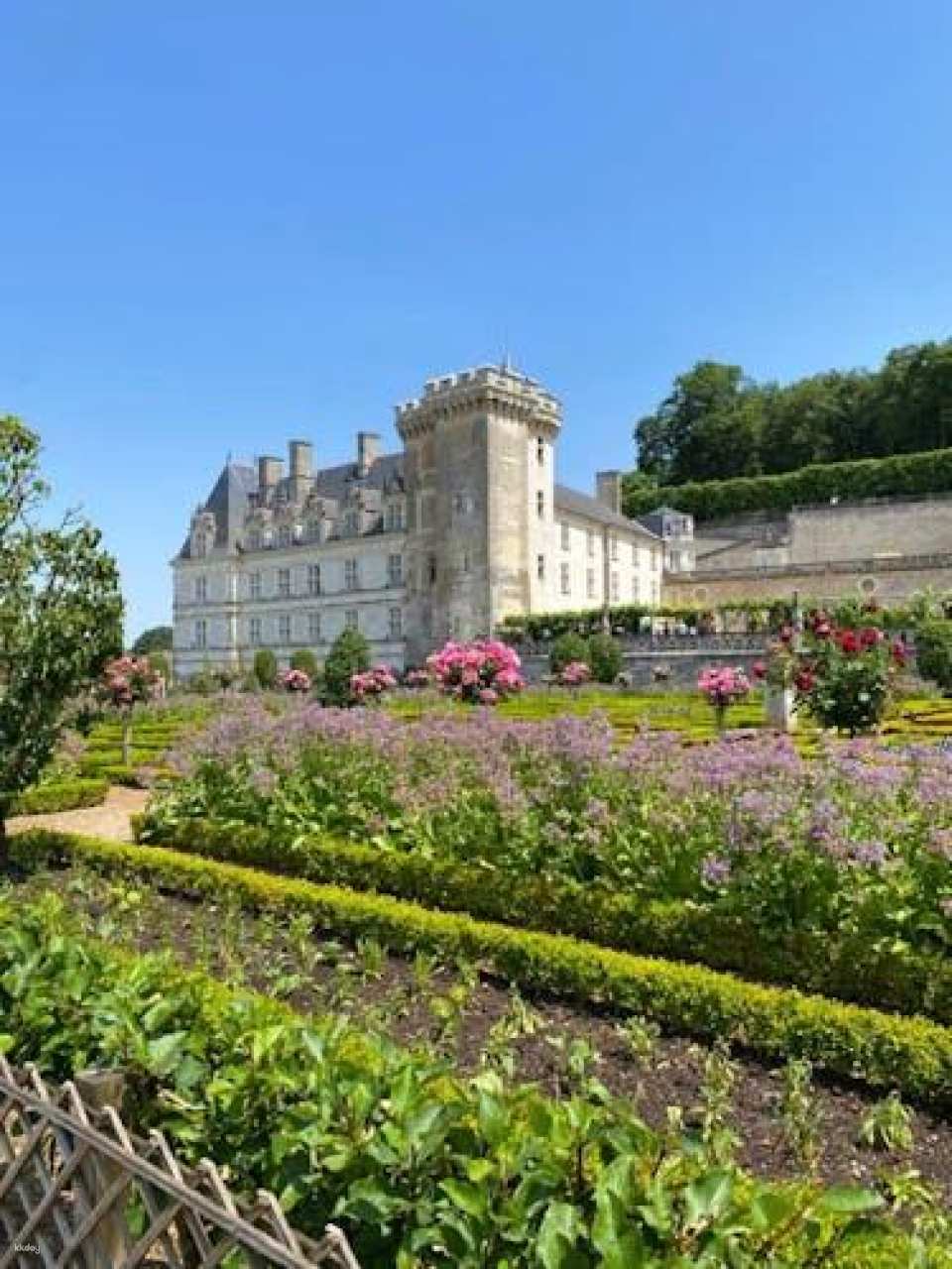 Guided visit Villandry & Azay-le-Rideau Châteaux from Tours