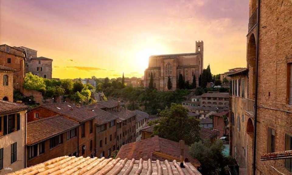 Guided walking tour of Siena