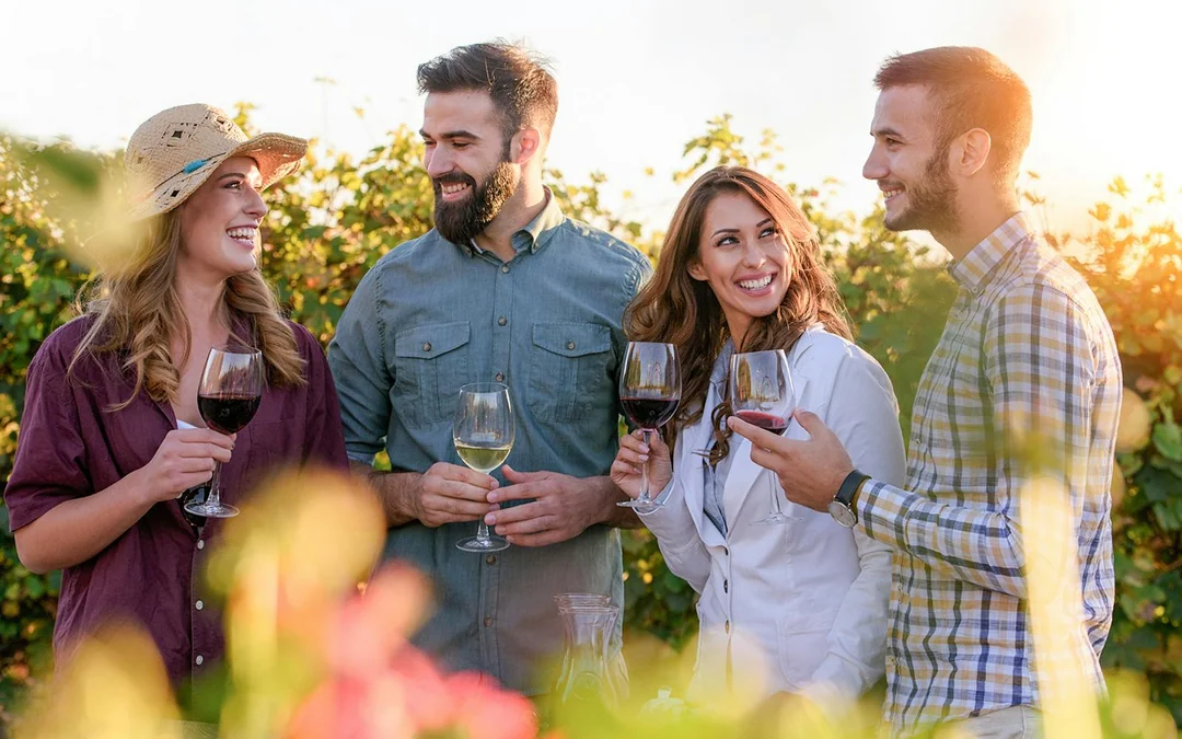 Guided Wine Tasting & Dinner Experience in Chianti Image 1