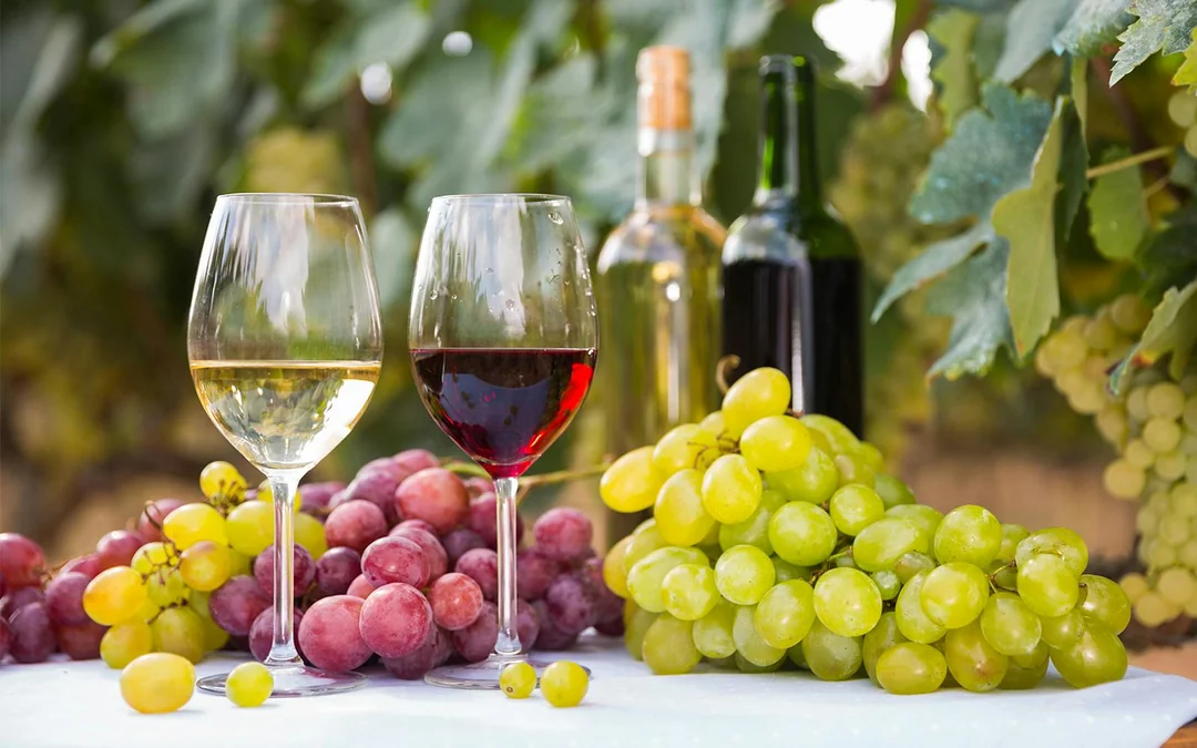 Guided Wine Tasting & Dinner Experience in Chianti Image 3