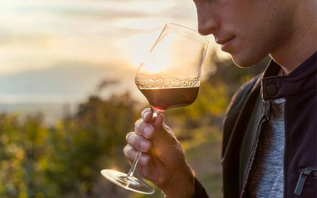 Guided Wine Tasting & Dinner Experience in Chianti Image 5