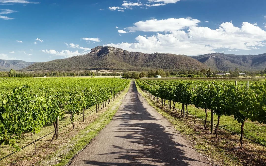 Guided Wine Tasting Tour in Hunter Valley Image 2
