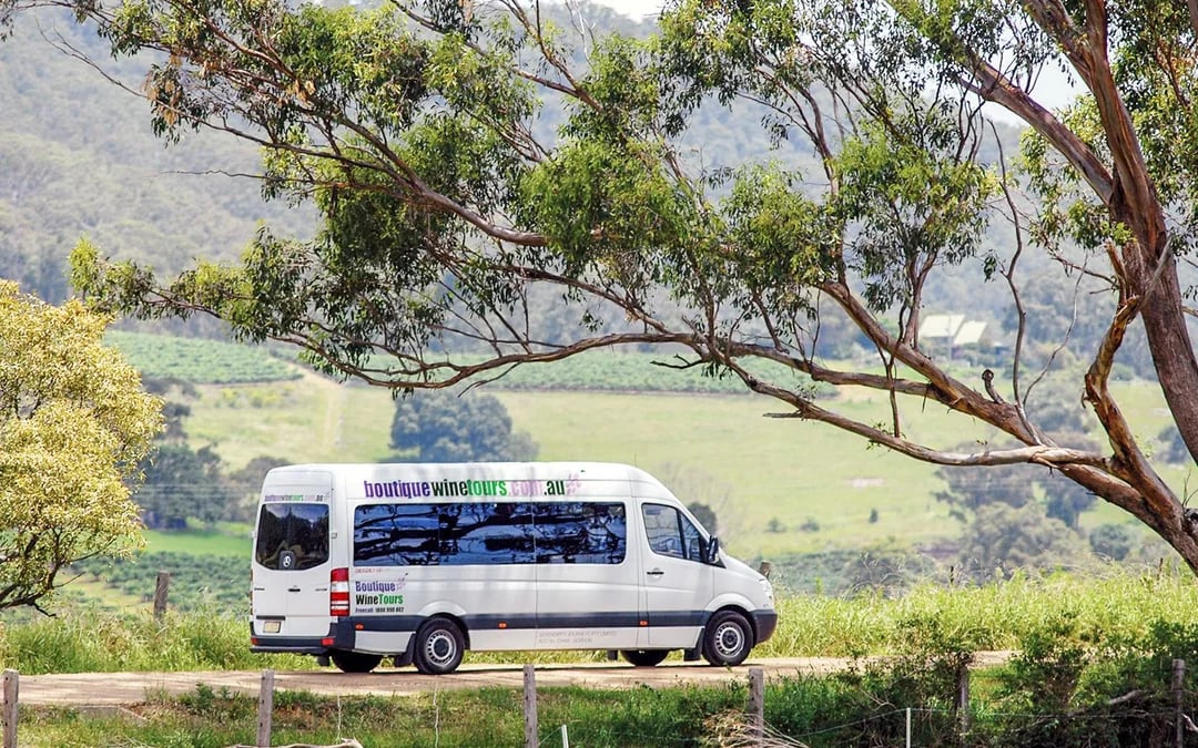 Guided Wine Tasting Tour in Hunter Valley Image 5