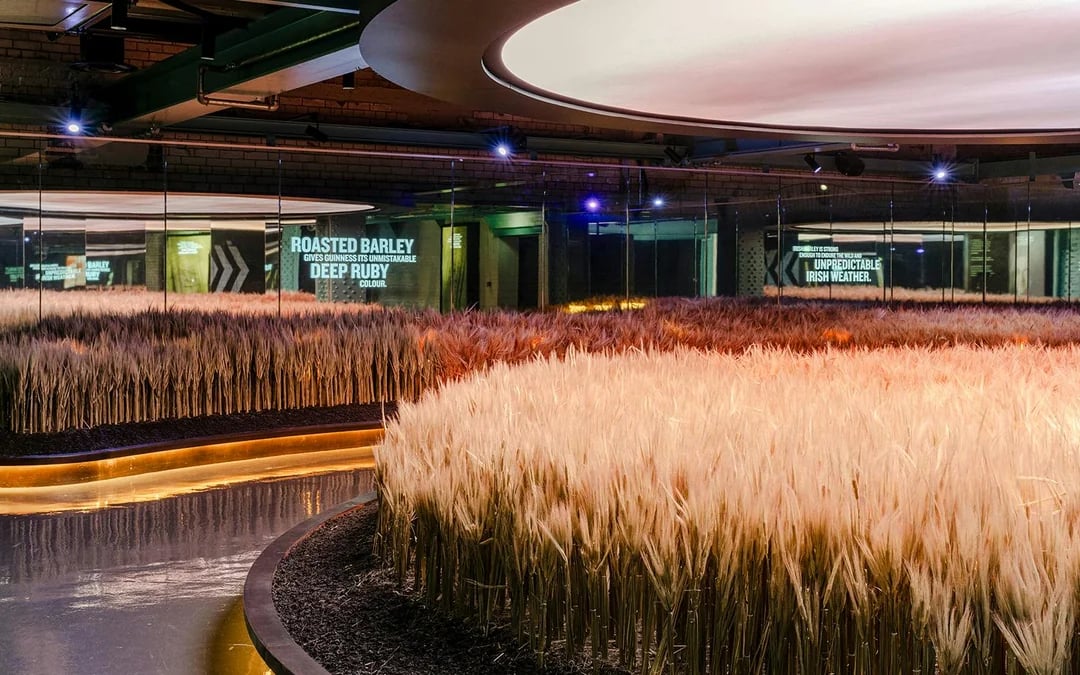 Guinness Storehouse Tickets Image 4