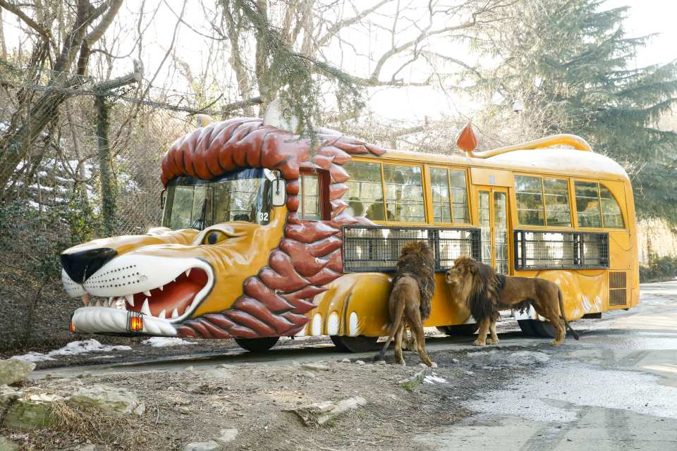 Gunma Wildlife Park, Japan | Electronic Admission Ticket