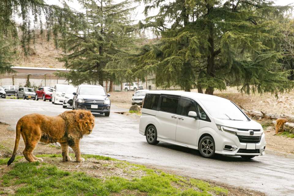 Gunma Wildlife Park, Japan | Electronic Admission Ticket
