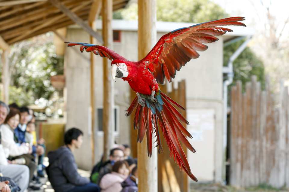 Gunma Wildlife Park, Japan | Electronic Admission Ticket