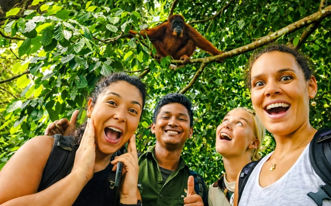 Gunung Leuser National Park 2-Day Orangutan Trek with Jungle Camp and River Tubing Image 4