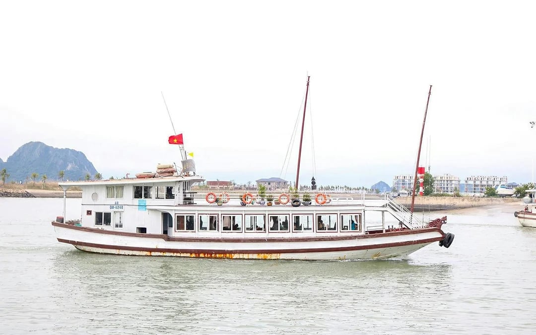 Ha Long Bay: 3-Star Day Cruise with Local Buffet Image 2