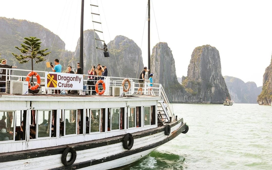 Ha Long Bay: 3-Star Day Cruise with Local Buffet Image 3