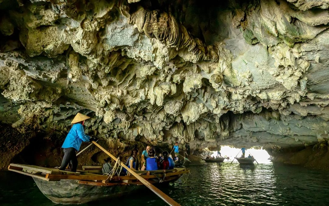 Ha Long Bay: 4-Star Day Cruise with Sundeck and Buffet Lunch Image 11
