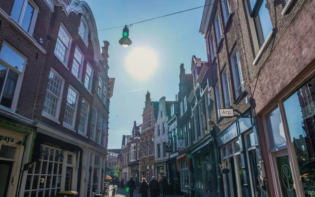 Haarlem: 2-Hour History & Highlights Walking Tour Image 1