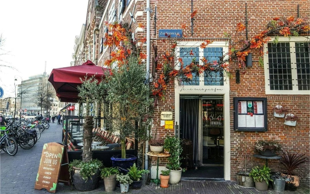 Haarlem: 2-Hour History & Highlights Walking Tour Image 3