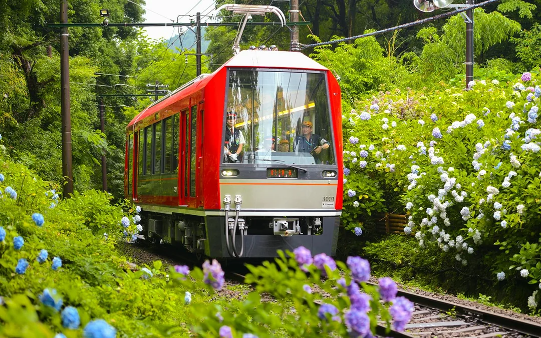 Hakone & Kamakura 3-Day Transportation Pass Image 5
