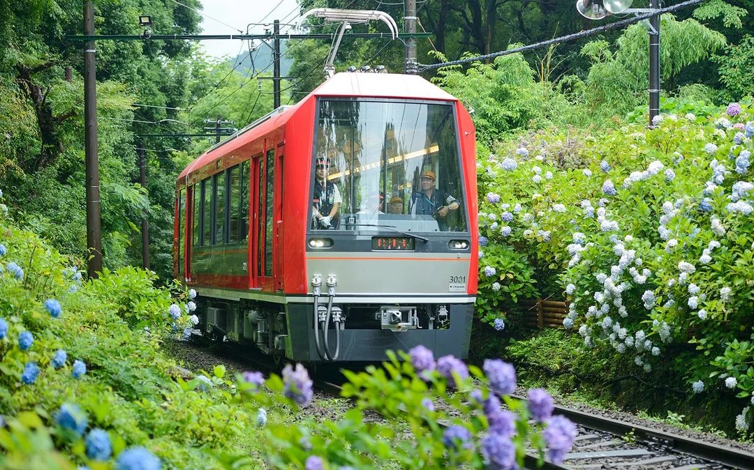 Hakone Free Pass Image 2