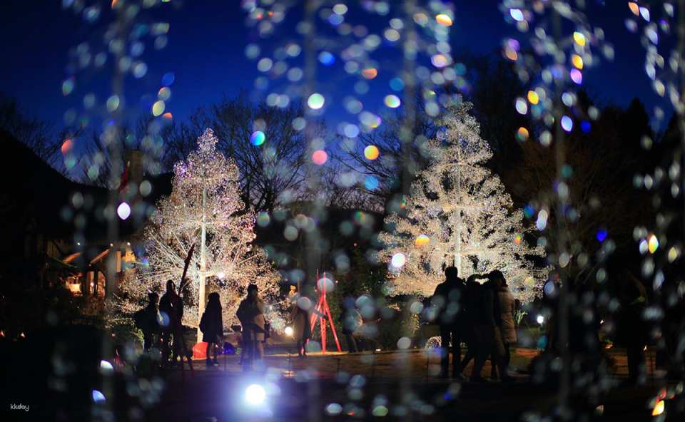 Hakone Glass Forest Museum Admission Ticket