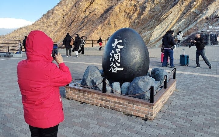 Hakone Guided Tour of Scenic and Cultural Landmarks with Multi-Transport Exploration Image 1