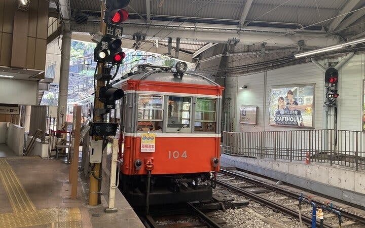 Hakone Guided Tour of Scenic and Cultural Landmarks with Multi-Transport Exploration Image 4