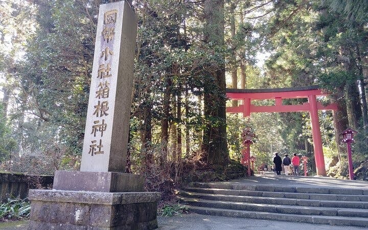 Hakone Guided Tour of Scenic and Cultural Landmarks with Multi-Transport Exploration Image 10