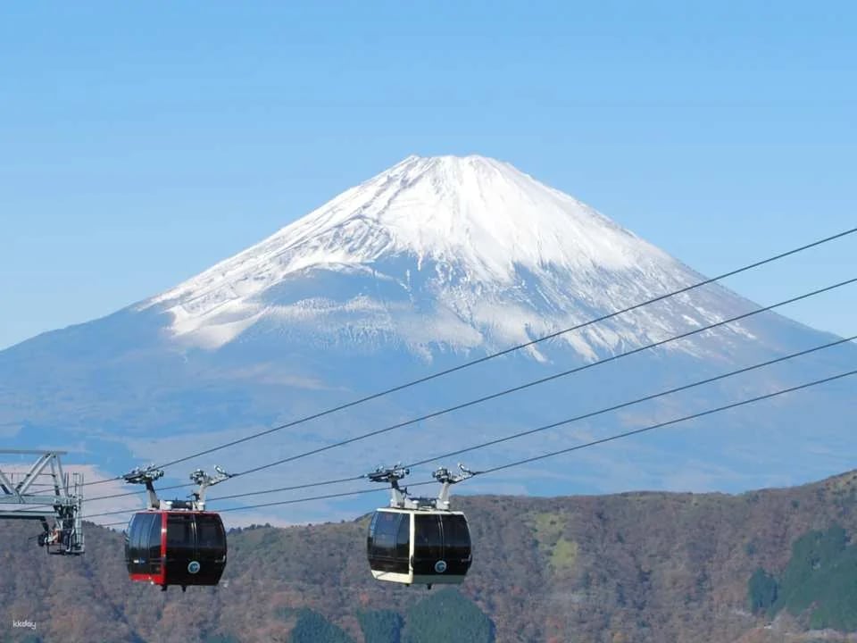 Hakone Ropeway One-Way & Round-Trip Tickets (Kanagawa Prefecture, Hakone)