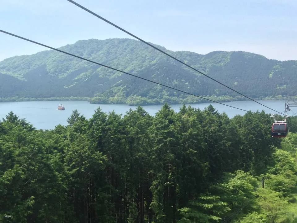 Hakone Ropeway One-Way & Round-Trip Tickets (Kanagawa Prefecture, Hakone)
