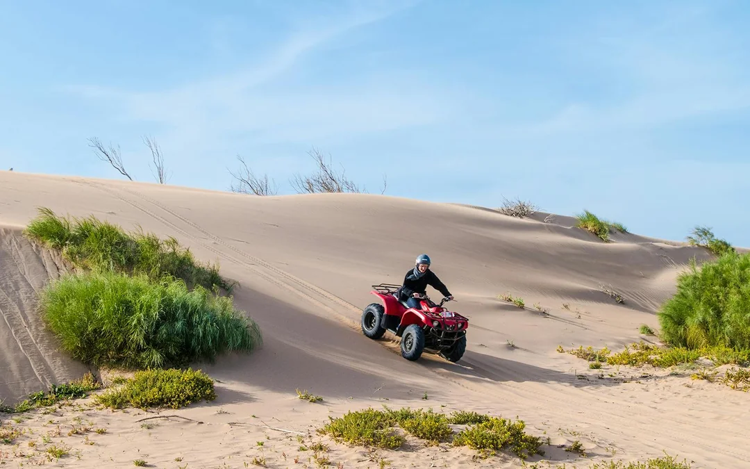 Half-Day Agafay Desert Tour with Camel or Quad Ride & Moroccan Tea Image 5