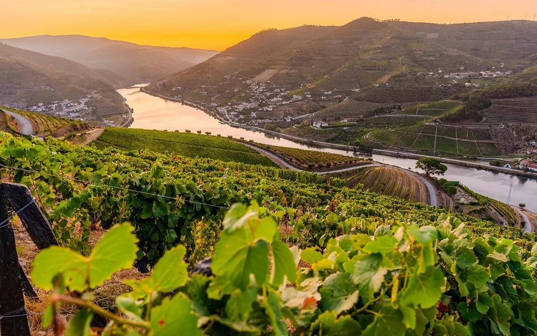 Half Day Douro Valley Guided Tour with 1-Hour Pinhao Cruise & Wine Tastings Image 1