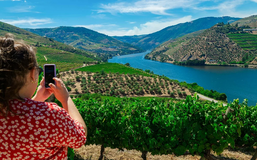 Half Day Douro Valley Guided Tour with 1-Hour Pinhao Cruise & Wine Tastings Image 2