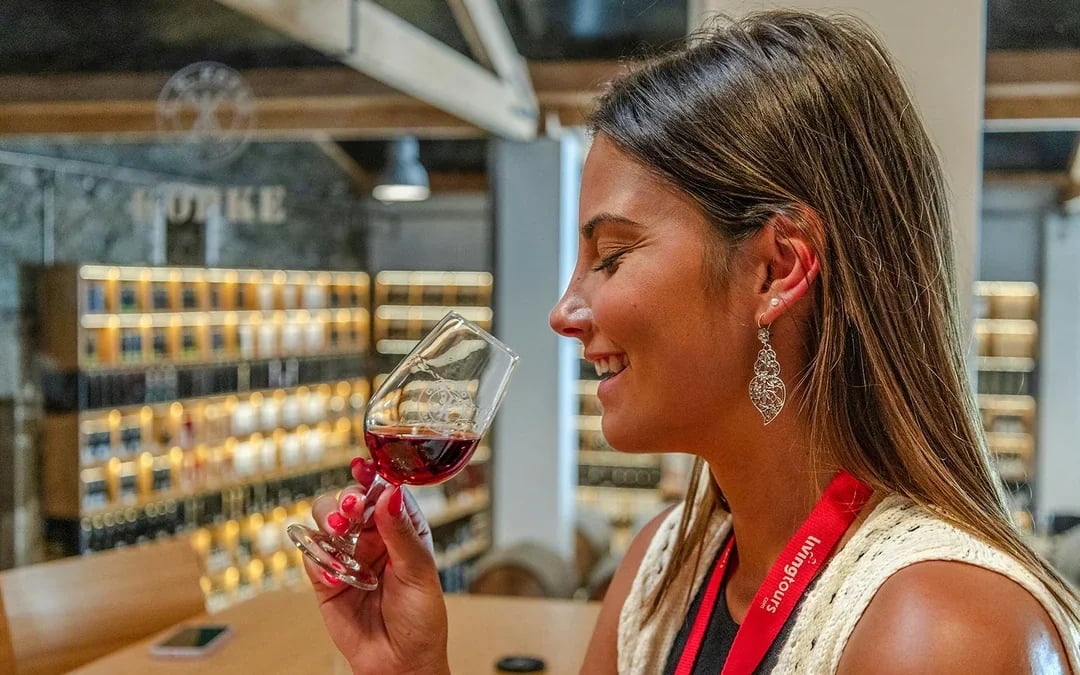 Half Day Douro Valley Guided Tour with 1-Hour Pinhao Cruise & Wine Tastings Image 7