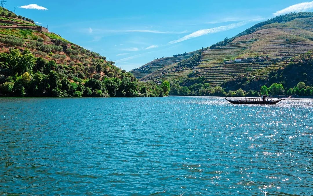 Half Day Douro Valley Guided Tour with 1-Hour Pinhao Cruise & Wine Tastings Image 8