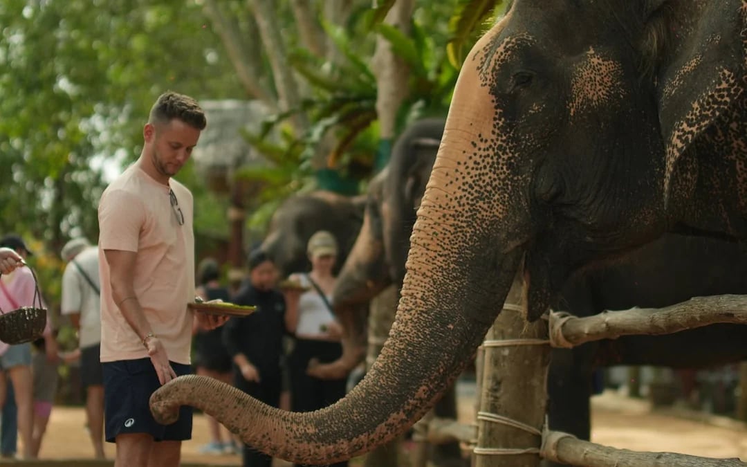 Half Day Elephant Home Sanctuary in Samui with transfer Image 4