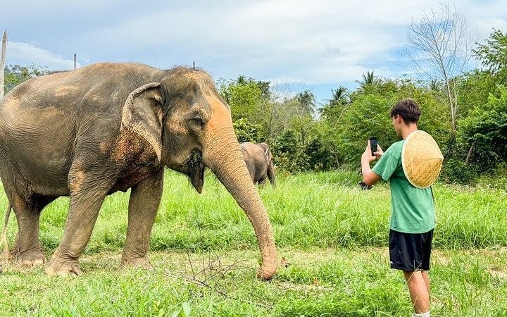 Half Day Elephant Home Sanctuary in Samui with transfer Image 7