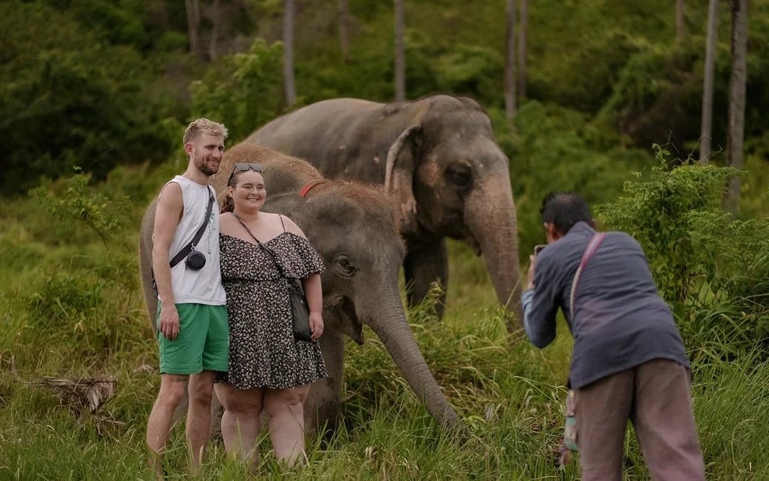 Half Day Elephant Home Sanctuary in Samui with transfer Image 9