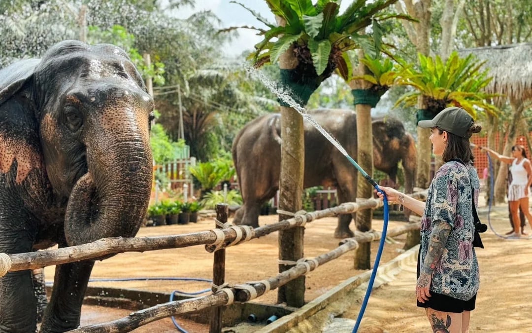 Half Day Elephant Home Sanctuary in Samui with transfer Image 10