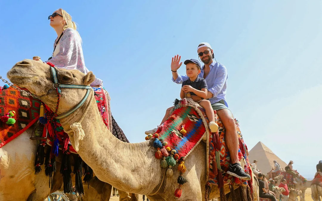 Half-Day Guided Tour of Giza Pyramids & Sphinx with Entry Tickets Image 2