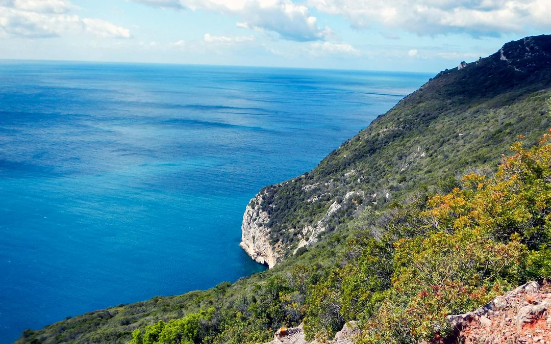 Half-Day Hiking at Arrábida Natural Park Image 2