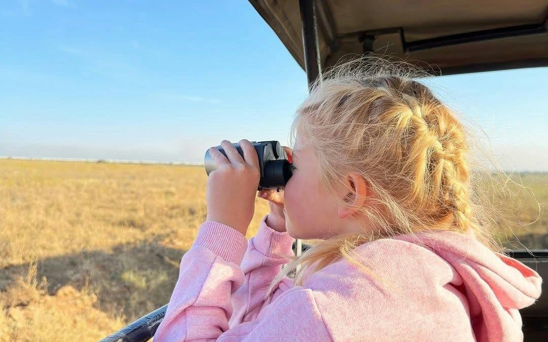 Half-Day Nairobi National Park Game Drive Safari with Hotel Transfers Image 2