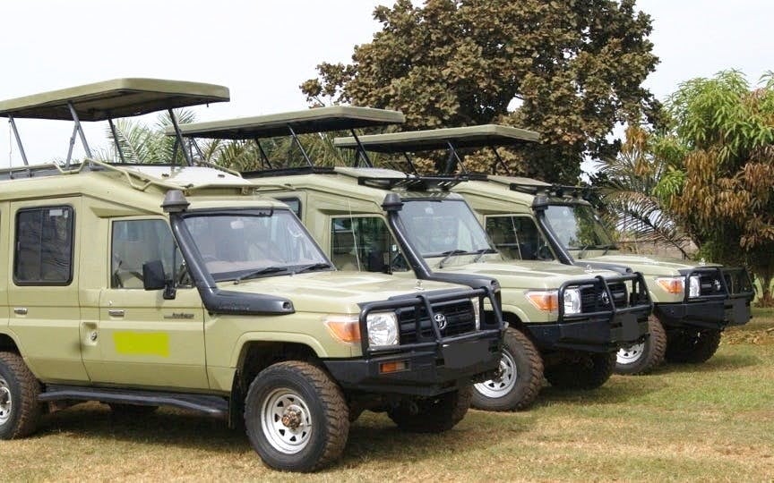 Half-Day Nairobi National Park Game Drive Safari with Hotel Transfers Image 5