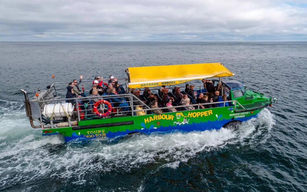 Halifax Harbour Hopper Land-and-Sea Sightseeing Tour Image 5