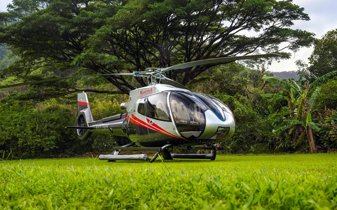 Hana Rainforest Helicopter Tour with Landing Image 7