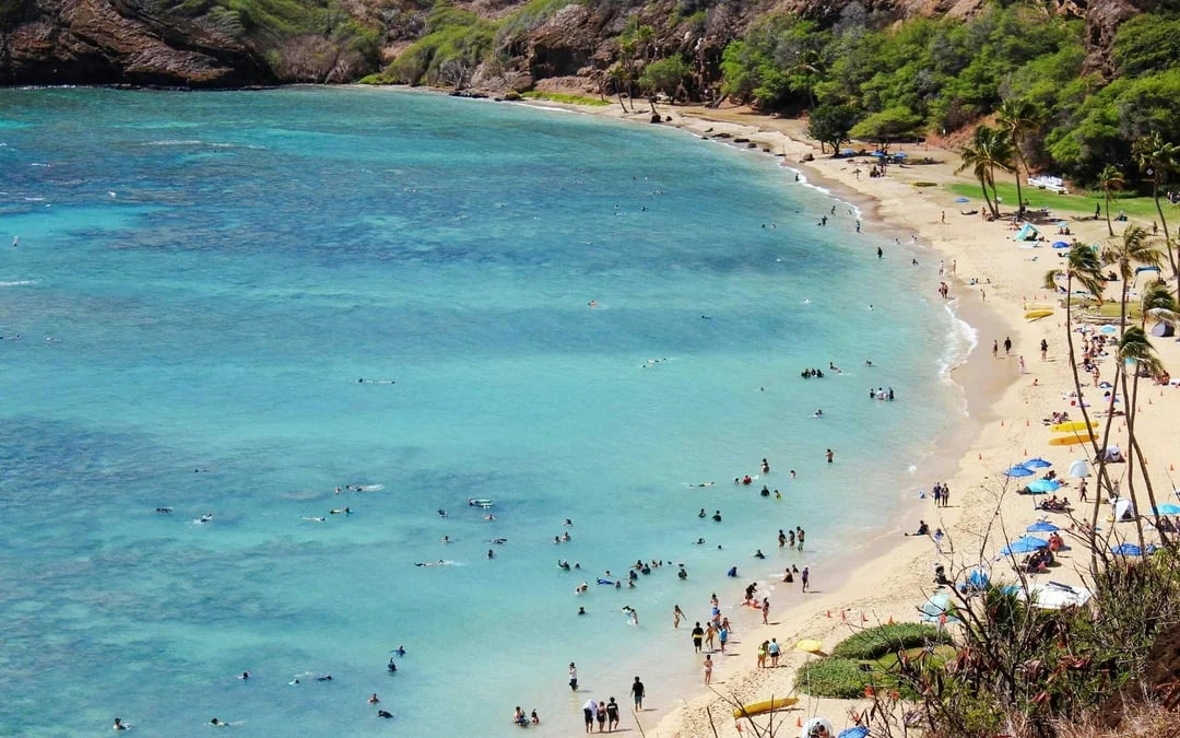Hanauma Bay Admission Tickets Image 1